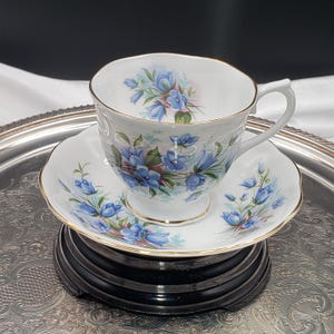 Vintage Royal Albert Teacup & Saucer: Forget-Me-Nots China, Tea Party Decor