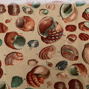 A Collection of Beach Shells Scattered on a Creamy Gold Background