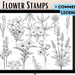 以下が含まれることがあります： デジタルタブレットの画面に、白黒の花のイラストが50個表示されています。画面の上部には「50 FLOWER STAMPS + COMMERCIAL LICENSE」というテキストが表示されています。