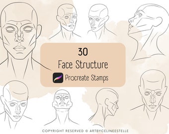 30 Face Structure Portrait Stamps / Stamp Brushes for Procreate