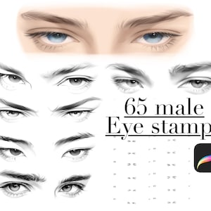 65 male Eyes Procreate Stamps, Procreate Face Eyes Brushset, Procreate Face Stamps, Procreate Portrait Stamps