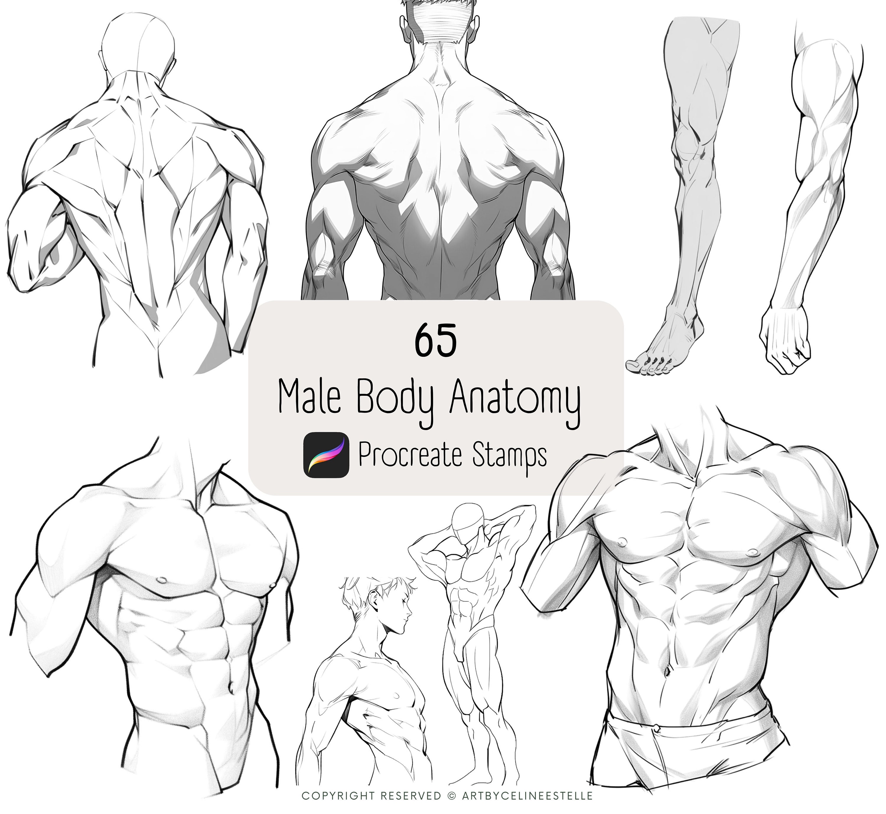 Reference for male back pose in art on Craiyon