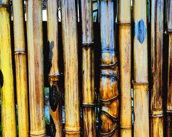 Flame Treated Bamboo Sticks, 2 inch Diameter, USA Grown, Set of 4