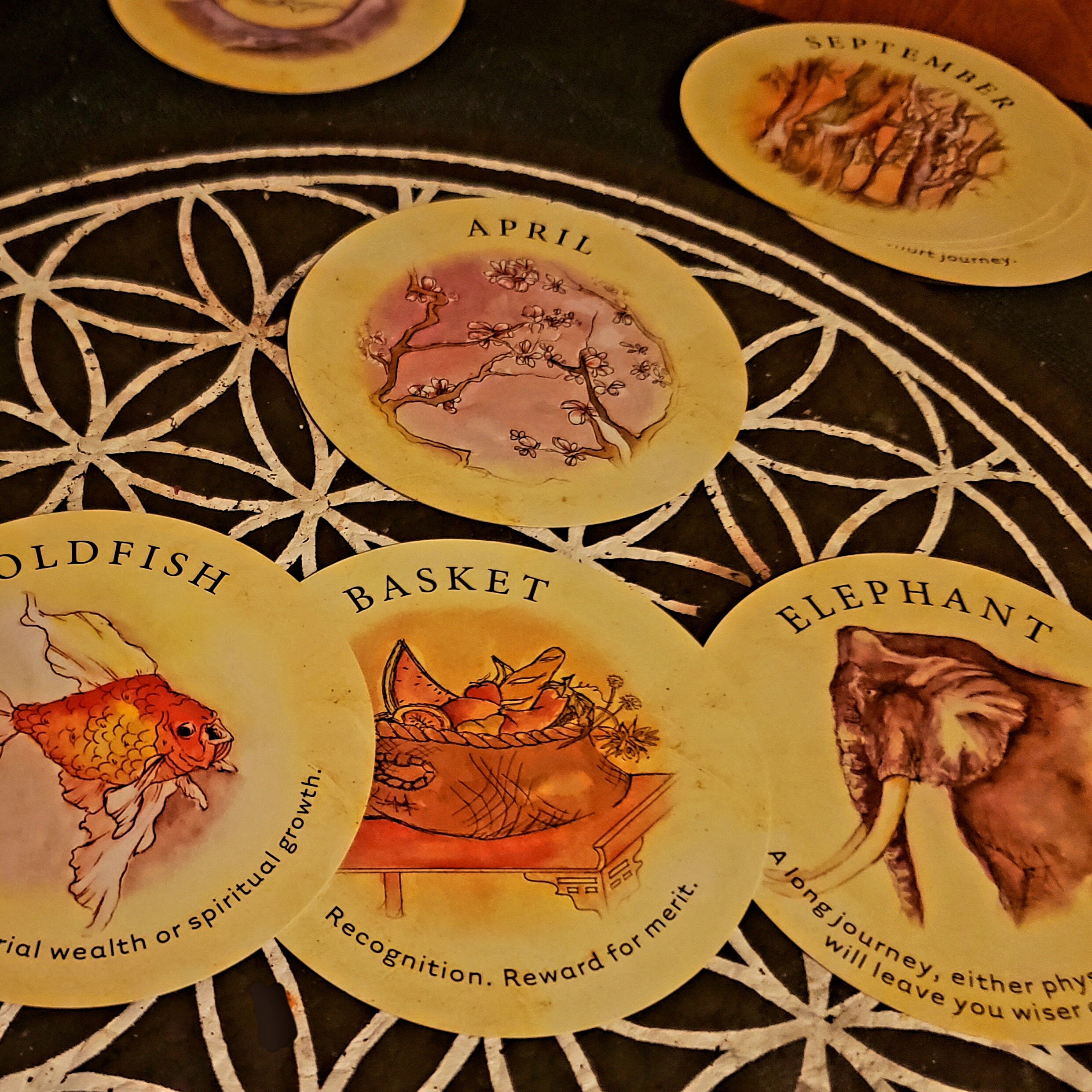 Tea Leaf Fortune Oracle 60 cards 12 month in depth Etsy