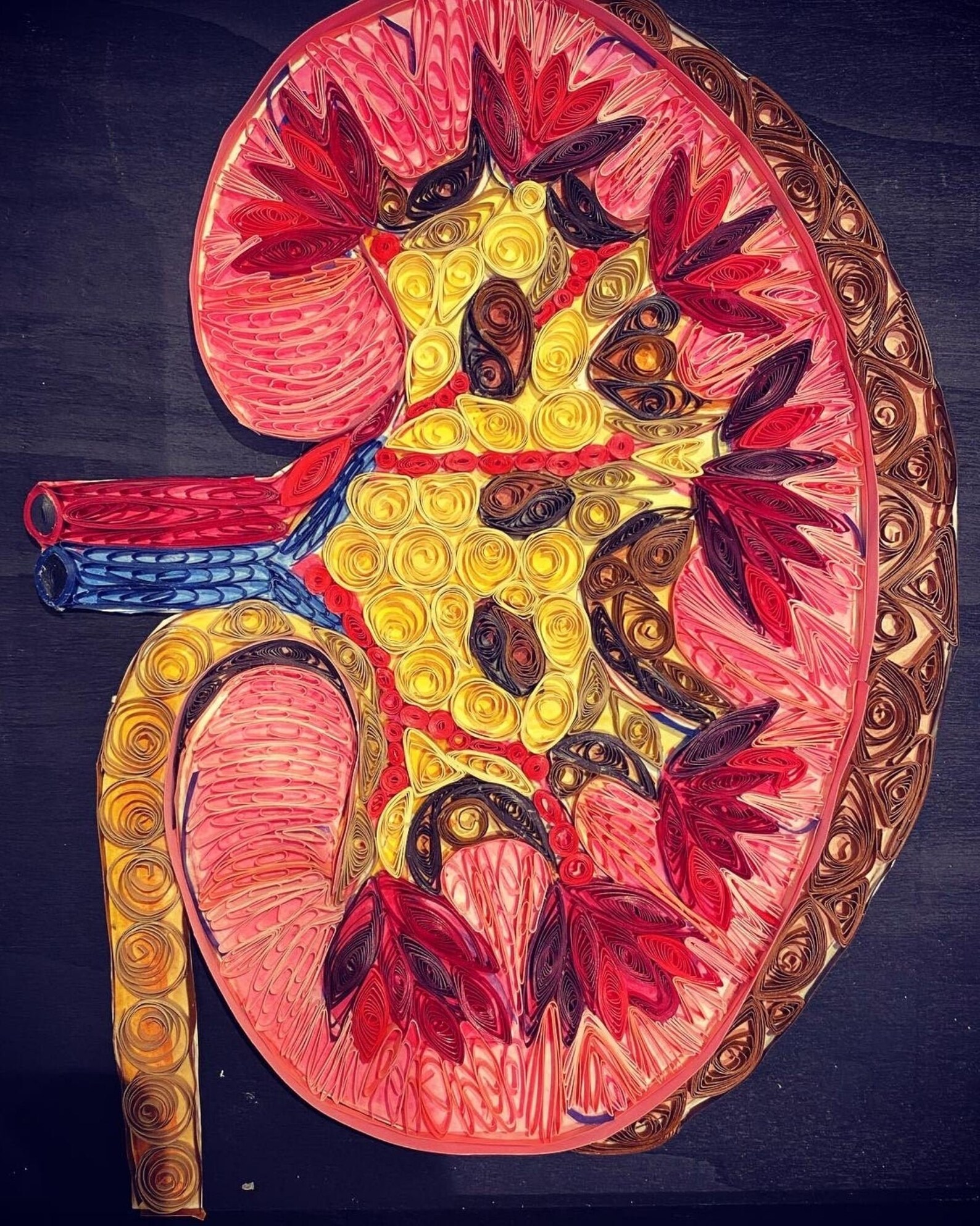 Medical office wall art human anatomy doctor mural paper Etsy