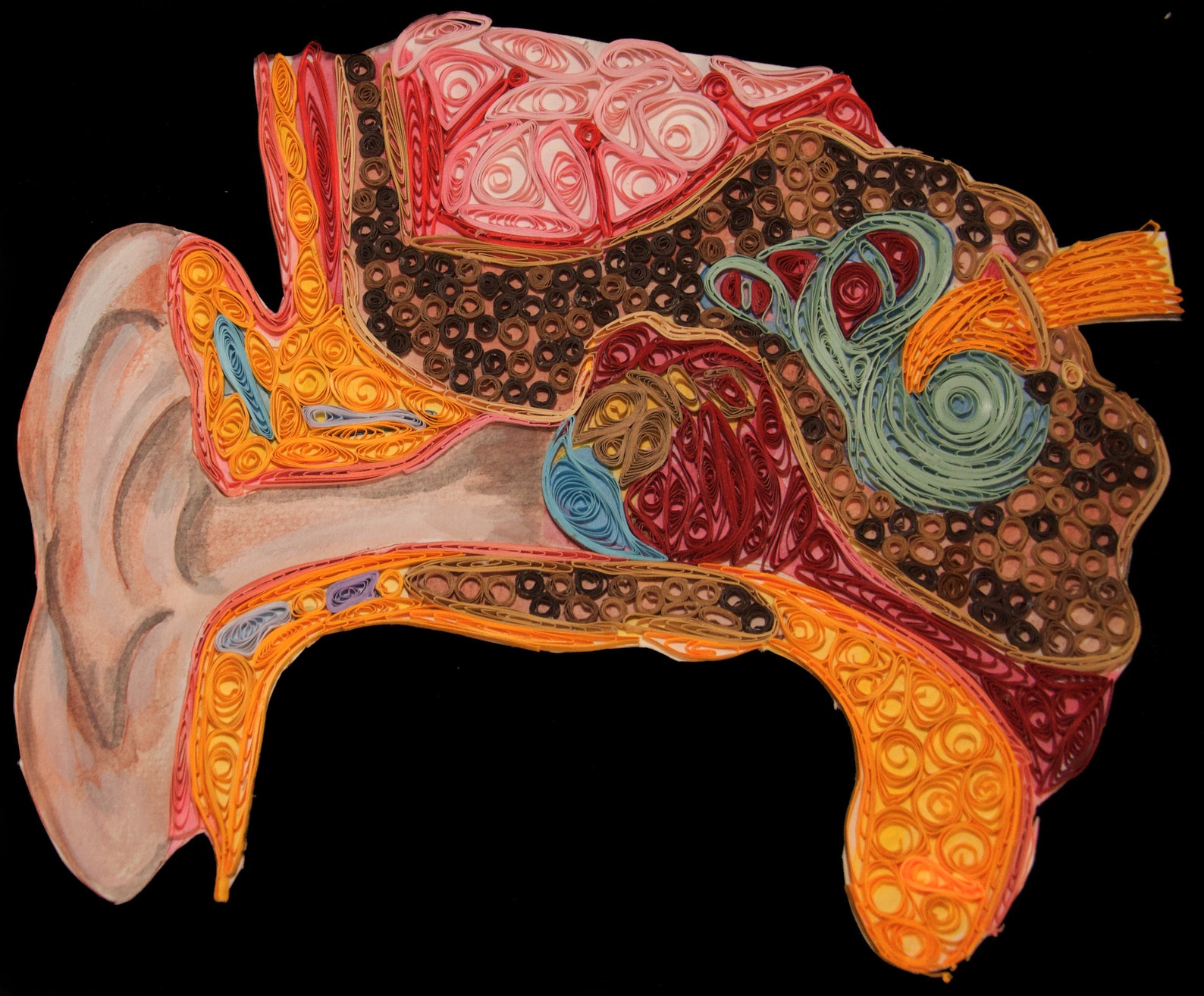 Medical office wall art digital printable human anatomy wall Etsy