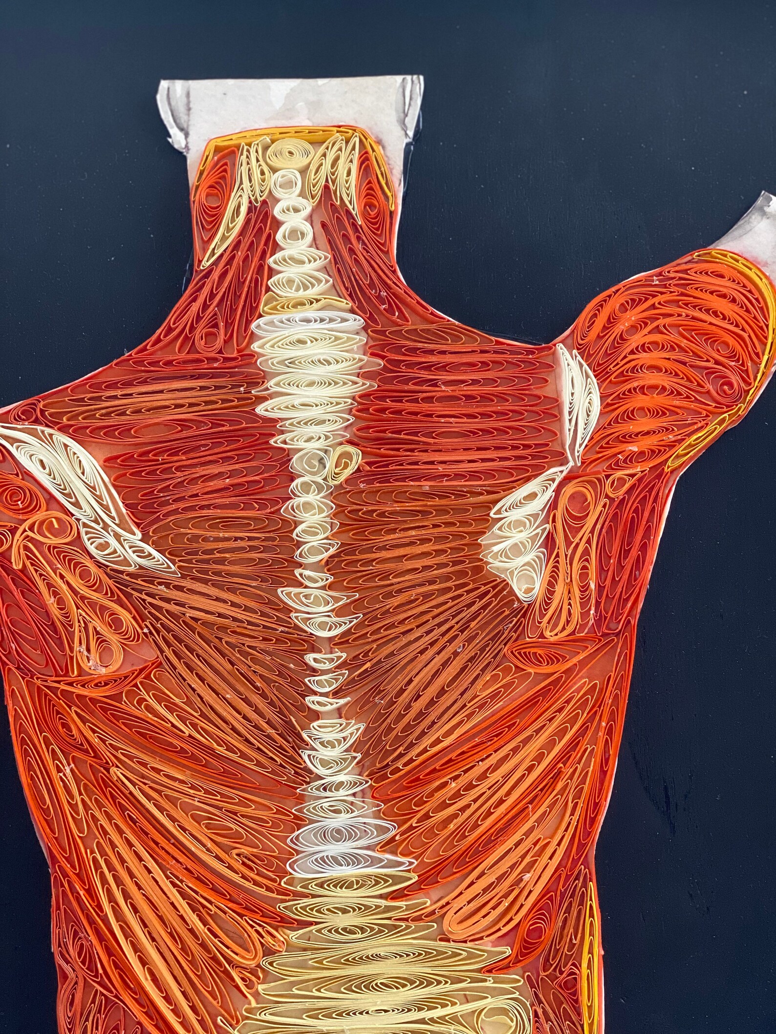 Medical Office Wall Art Paper Quill Wall Art Human Back Wall Etsy