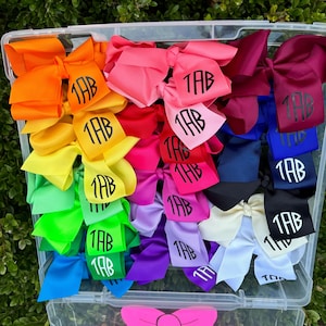 May include: A clear plastic bin filled with colorful hair bows. The bows are arranged in a rainbow gradient, each with the monogram "TAB" in black. The bin has a pink bow design on the front.