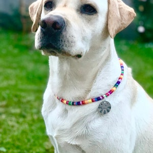 Markenhalsband Markenkette Hunde Kette Hund Hundemarke Schmuckkette Hundekette Boho Anhängerkette Ethno Hippie Perlenkette Bild 2