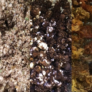 May include: Close-up of three different types of soil: a coarse, gritty mix, a dark brown soil with white perlite, and a light brown, fibrous material.