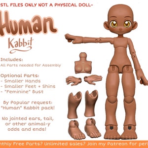 DIGITAL .STL Human Kabbit 26-28cm 3D Printed Ball Jointed Doll Base PLA filament / Resin Compatible files image 3
