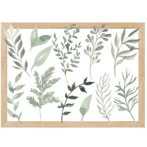 Könnte beinhalten: Ein gerahmter Druck mit Aquarellillustrationen verschiedener grüner und grauer Blätter und Zweige auf weißem Hintergrund. Die Blätter haben unterschiedliche Formen und Texturen, und der Rahmen besteht aus hellem Holz.
