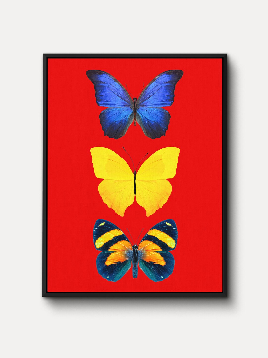 Three Butterflies WALL ART Colorful Butterfly on Redcanvas Art