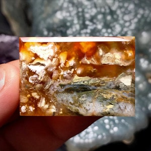 Cabochons pittoresques en agate mousse, Indonésie