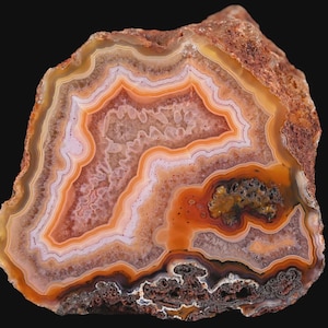 May include: A polished agate slice featuring concentric bands of orange, white, and brown. The cross-section displays intricate, wavy patterns and a central crystalline formation with a rough, textured outer edge against a black background.