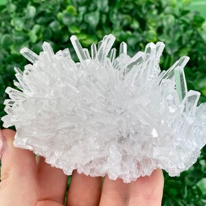 Può includere: Un ammasso di cristalli di quarzo trasparente, noti anche come cristallo di rocca, con una finitura naturale, grezza e non lucidata. I cristalli sono disposti in una formazione densa e spinosa, creando un pezzo visivamente interessante e testurizzato.