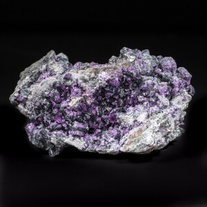 May include: A close-up of a mineral specimen featuring a cluster of vibrant purple crystals embedded in a matrix of gray and black rock. The crystals have a sparkling appearance, and the background is black.