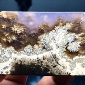 Könnte beinhalten: Eine polierte Agatscheibe mit einem dendritischen Muster in Braun-, Weiß- und Lilatönen. Der Achat hat ein einzigartiges, natürliches, landschaftsähnliches Aussehen.