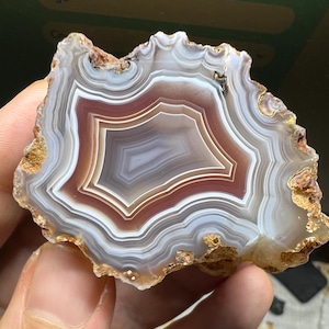 Parallax-agaat 56 x 42 mm Malawi