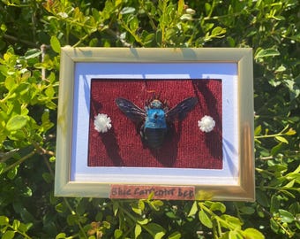 framed blue carpenter bee