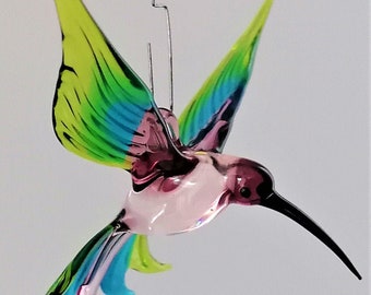 Hanging bird hummingbird, different colors