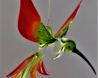 Hangende vogelkolibrie, verschillende kleuren