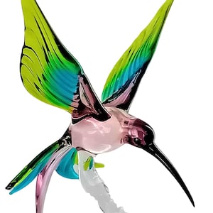Orquídea palo colibrí (púrpura-azul-verde) flor palo flor enchufe