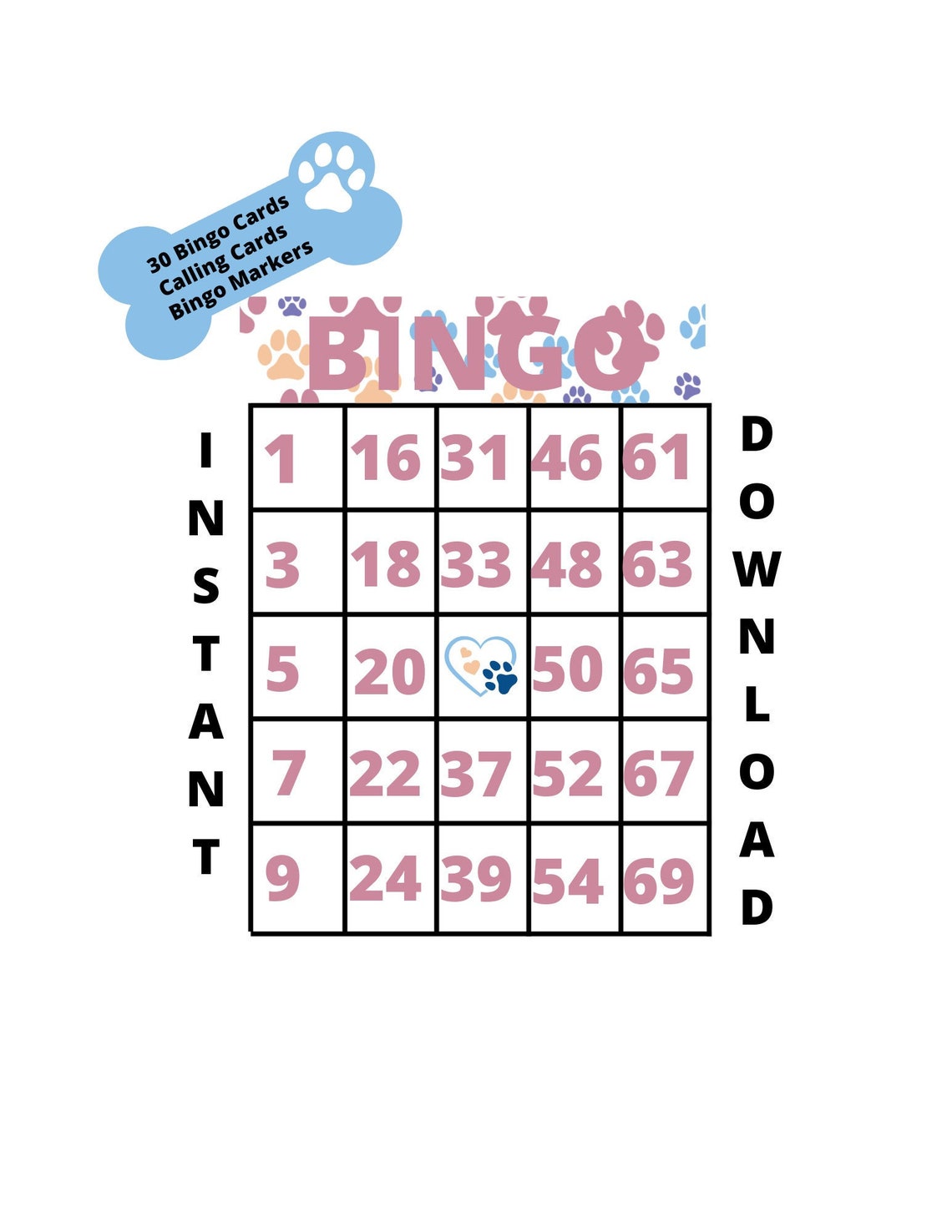 Play BINGO Instantly, Print and Play BINGO, Family Fun BINGO, Kids Fun