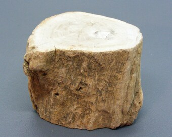 kleine Stücke 15-30 mm 1 kg = 19,67 EUR 300 g Versteinertes Holz 