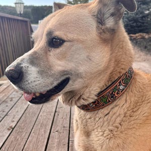 MADE TO ORDER custom leather tooled dog collars
