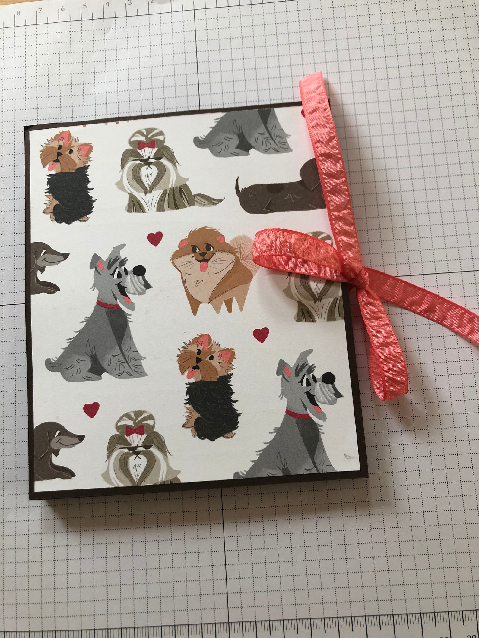 Animal Mini Album Etsy