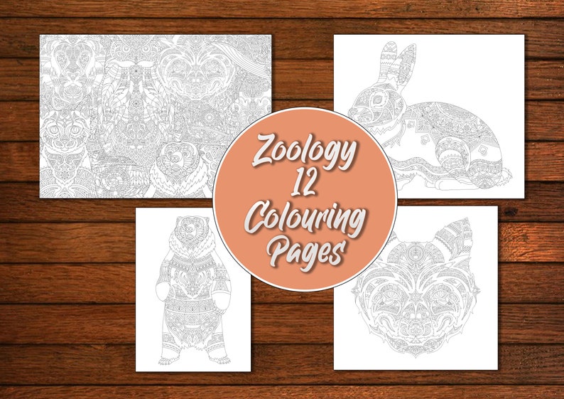 12 Zoology Colouring Pages PRINTABLE Teacher Printables - Etsy
