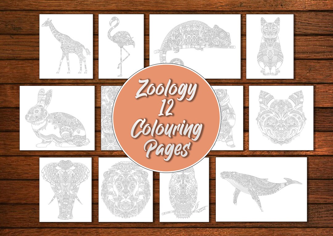 Zoology Coloring Pages: Zoology Coloring Pages Coloring Pages