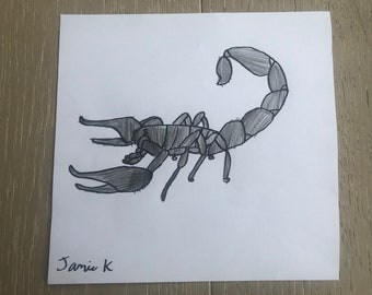 Scorpion