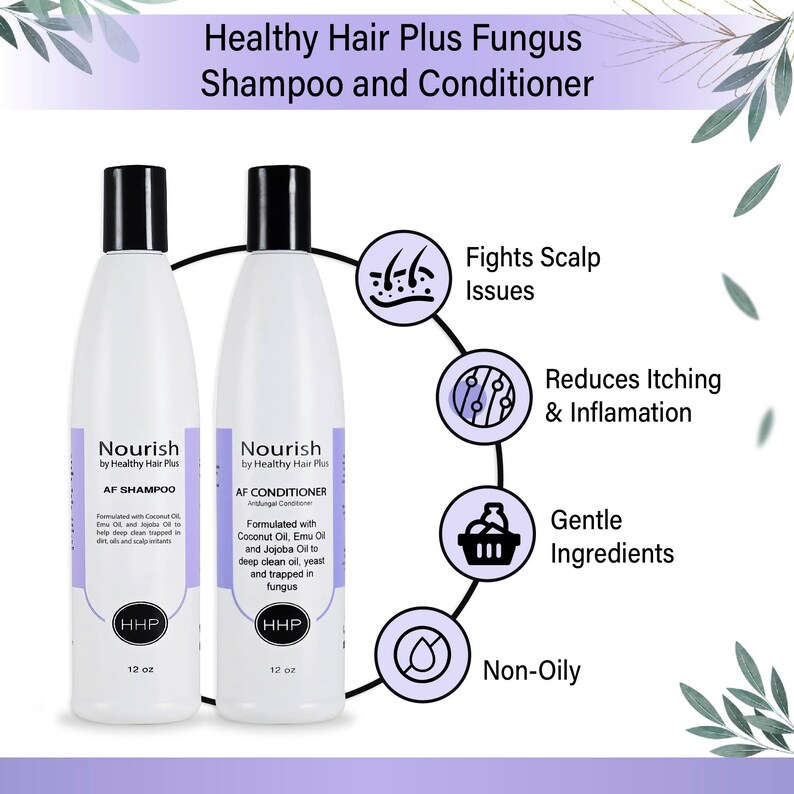 Healthy Hair Plus Antifungal Shampoo and Conditioner Etsy