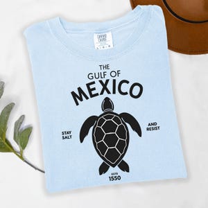 Stay Salty Turtle Tee: Gulf of Mexico Ocean Conservation Shirt