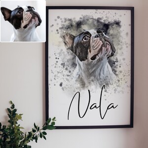 Puede incluir: Una pintura de acuarela de un Bulldog Franc&eacute;s con pelaje blanco y negro. El perro est&aacute; mirando hacia arriba con la boca cerrada. El fondo es gris claro con salpicaduras de pintura blancas y grises. El nombre del perro, "Vala", est&aacute; escrito en cursiva negra en la parte inferior de la pintura.