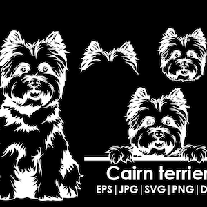 Cairn terrier Dog Head, Full body, Peeking, Dog Ear, files Cricut| Clipart| Vector| PNG| dxf | printable| Cricut, Silhouette, svg