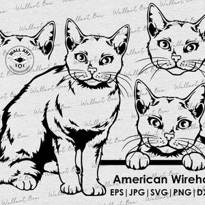 Op de afbeelding: Zwart-witte lijntekening van drie American Wirehair katten. De katten staan in verschillende poses, één zit, één staat en één kijkt over een rand. De afbeelding bevat de tekst "American Wirehair EPS | JPG | SVG | PNG | DXF".