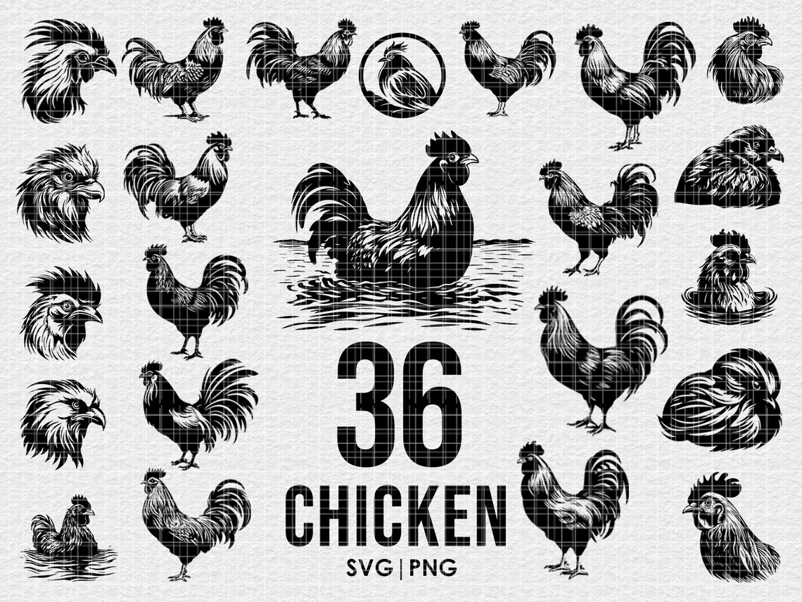 Chicken Vector Files Chicken Vector Illustration, Svg Png Bundle, Digital Download, for ...