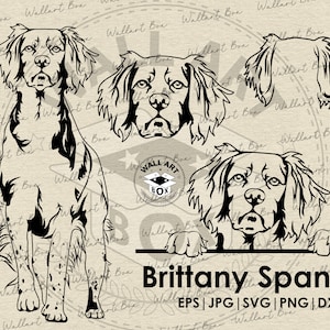Brittany spaniel Dog svg| Dog svg files for Cricut| Peeking dog clipart| Vector Image DXF Download| printable art| png| Logo| digital file