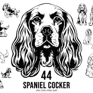44 Spaniel Cocker dog svg bundle| svg, Cricut| Peeking dog clipart| Vector Image DXF Download| printable| png| full body ears