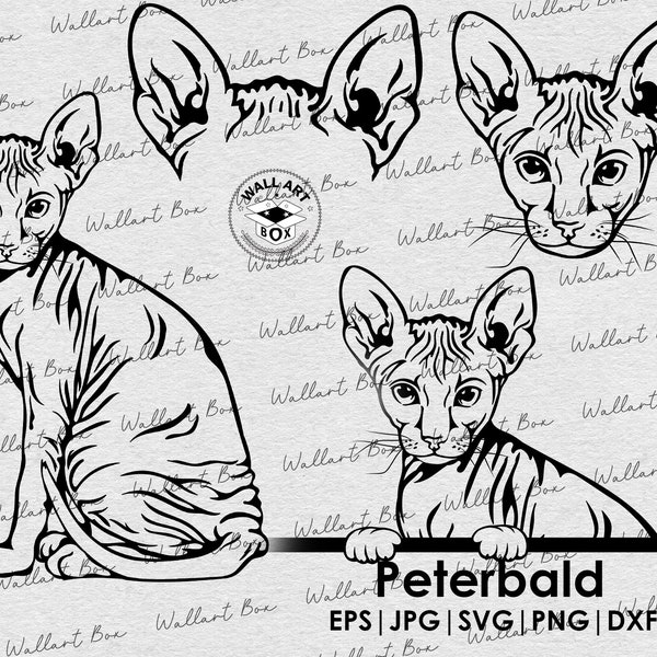 Peterbald Cat svg| Dog svg files for Cricut| Peeking cat clipart| Vector Image DXF Download| printable art| png| full body face ears | laser