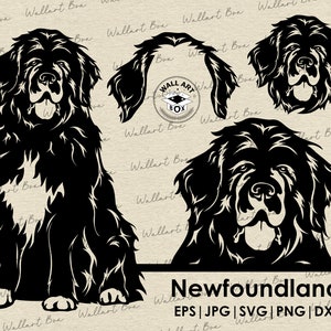 Neufundländer svg| Ganzkörper-Spähkopf-Ohrendateien für Cricut| Clipart| Vektor| PNG| dxf| druckbar| Cricut, Silhouette| Gewerblich