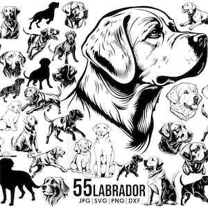 55 Labrador Retriever SVG mega bundel tekening oor, volledige lichaam, gluren, SILHOUET, hoofd clipart Overzicht schets Cricut lasersnijden speelse hond