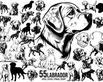 55 Labrador Retriever SVG mega bundle drawing ear,full body,peeking,SILHOUETTE, head clipart Outline sketch Cricut laser cutting playful dog