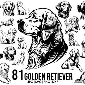 81 ゴールデン レトリバー SVG メガ バンドル 描画 耳、全身、覗き見、シルエット、頭 クリップアート アウトライン スケッチ Cricut レーザー カット 遊び心のある犬