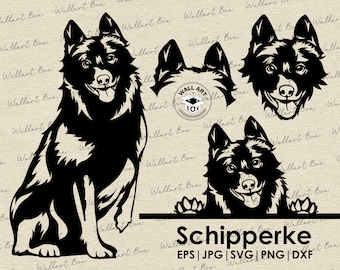 Schipperke svg cut file dog peeking for Cricut| Schipperke full body head ears portrait vector graphic art artwork png digital design