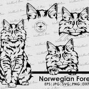 Noorse Boskat svg| kat full body gluren hoofd oren bestanden Cricut| Clipart| Vector|  PNG| dxf| printbaar| Cricut, Silhouet | vector
