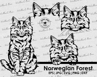 Könnte beinhalten: Schwarz-weiße Linienzeichnungen eines Norwegischen Waldkatzen in drei verschiedenen Posen. Die Katze sitzt, schaut geradeaus und schaut nach oben. Der Text "Norwegian Forest" befindet sich unter den Bildern, zusammen mit dem Text "EPS | JPG | SVG | PNG | DXF".